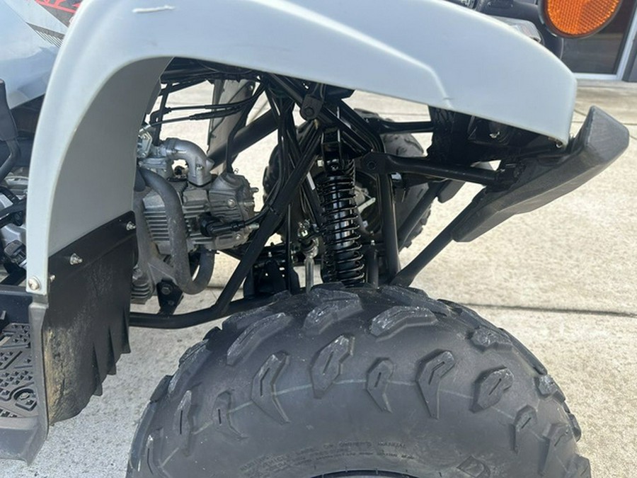 2022 Yamaha Raptor 90