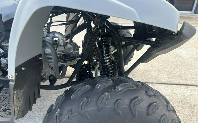 2022 Yamaha Raptor 90