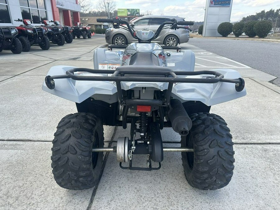 2022 Yamaha Raptor 90