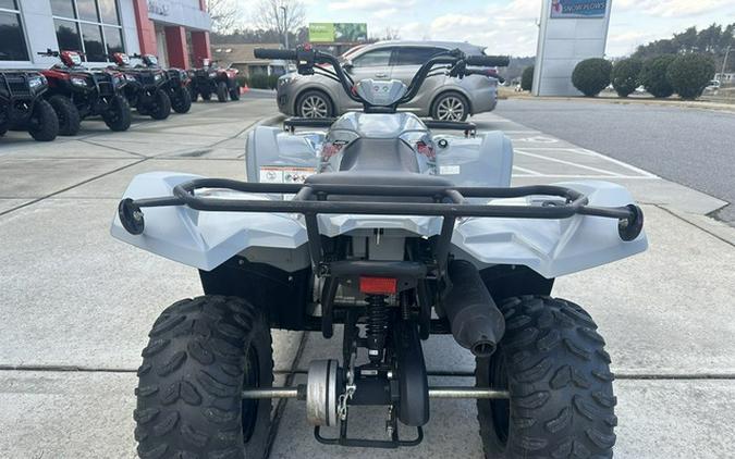 2022 Yamaha Raptor 90