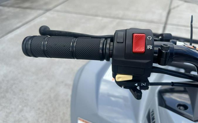 2022 Yamaha Raptor 90