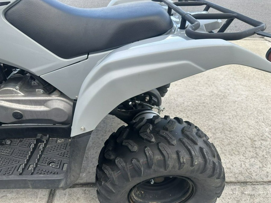 2022 Yamaha Raptor 90