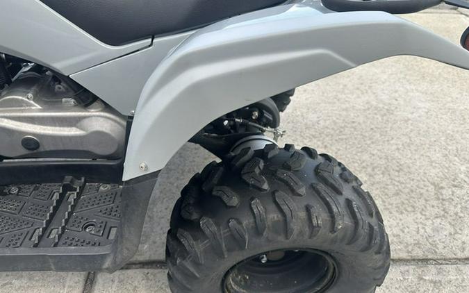 2022 Yamaha Raptor 90