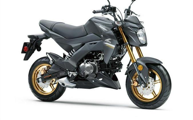 2024 Kawasaki Z125 PRO