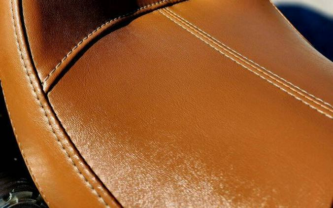 2020 Indian Scout Bobber