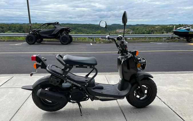 2024 Honda® Ruckus