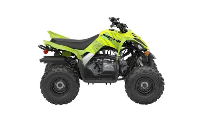 2026 Yamaha Raptor 110