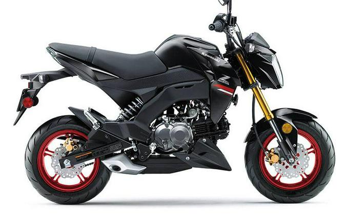 2021 Kawasaki Z125 Pro