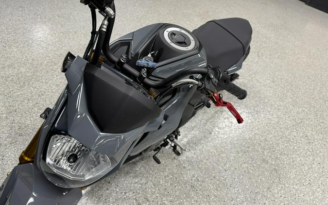 2021 Kawasaki Z125 Pro