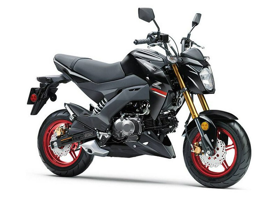 2021 Kawasaki Z125 Pro