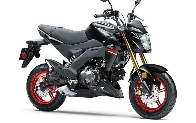2021 Kawasaki Z125 Pro