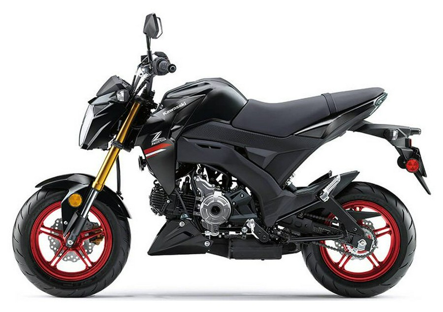2021 Kawasaki Z125 Pro