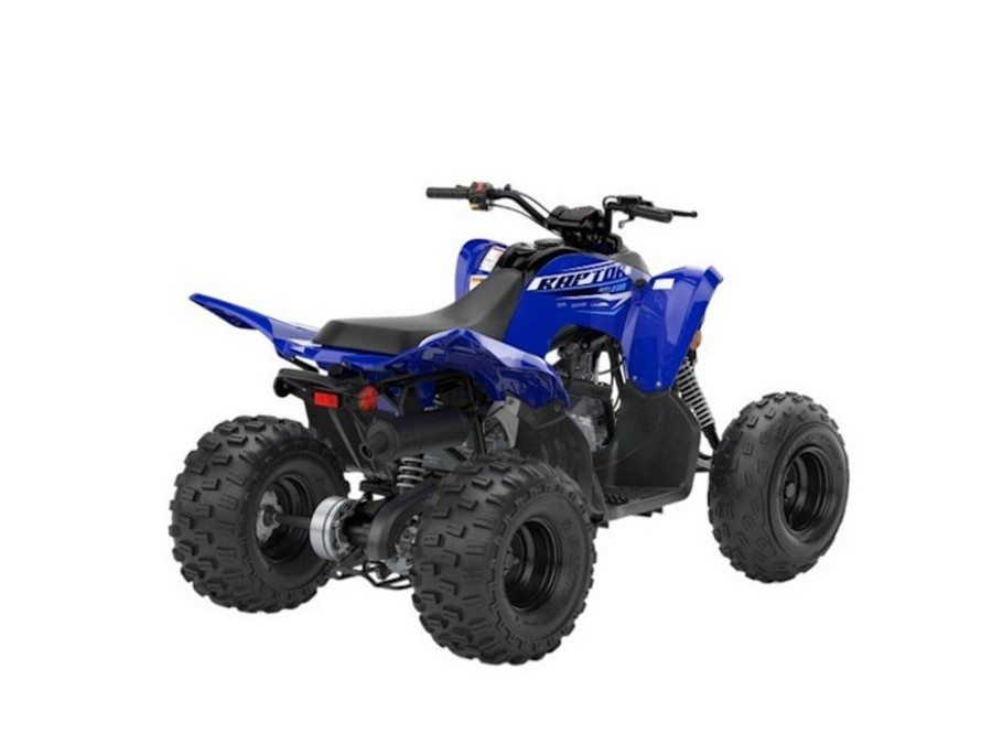 2026 Yamaha Raptor 110