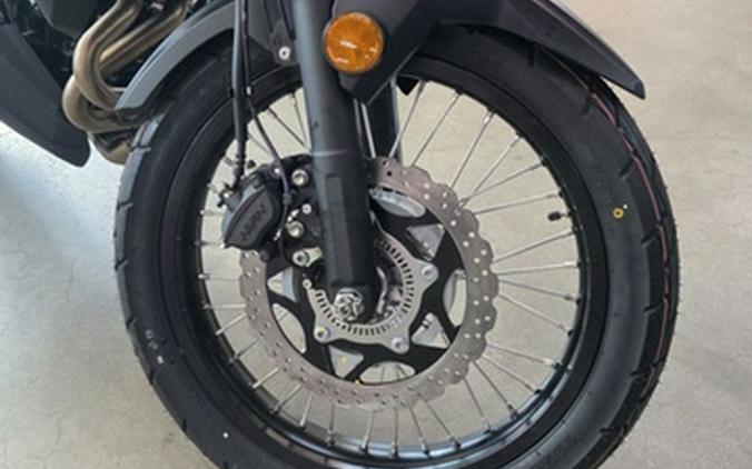 2025 Kawasaki Versys-X 300 ABS