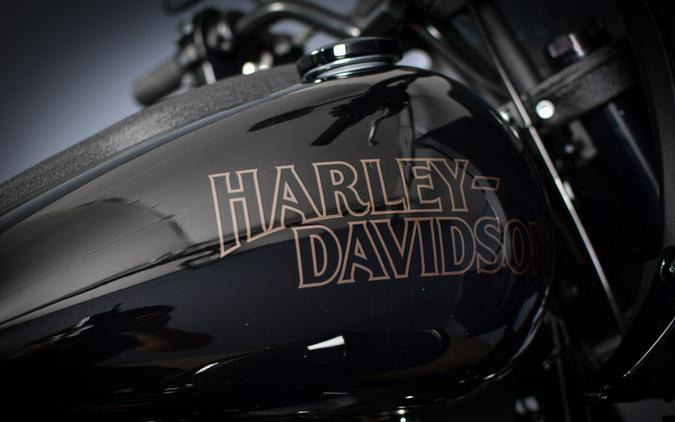 2023 Harley-Davidson Low Rider ST