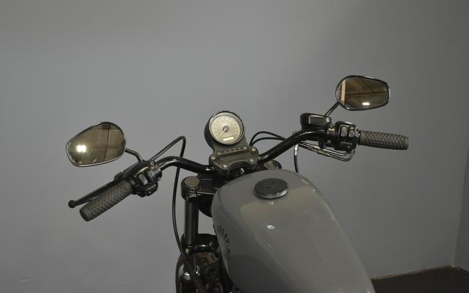 2010 Harley-Davidson Forty-Eight Billiard Gray