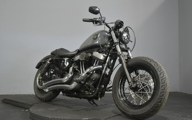 2010 Harley-Davidson Forty-Eight Billiard Gray