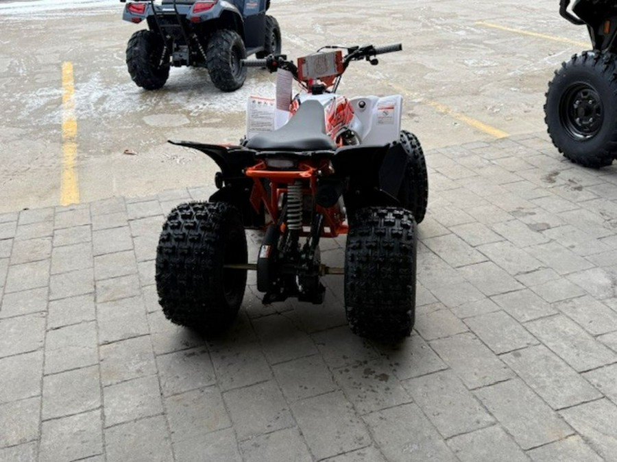 2026 Kayo Predator 125