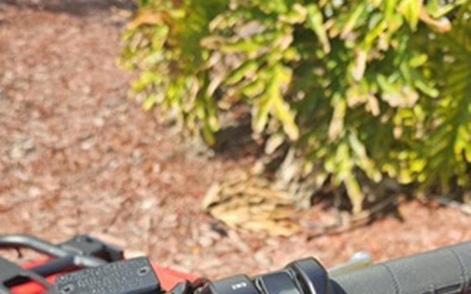 2026 Kawasaki Brute Force 750