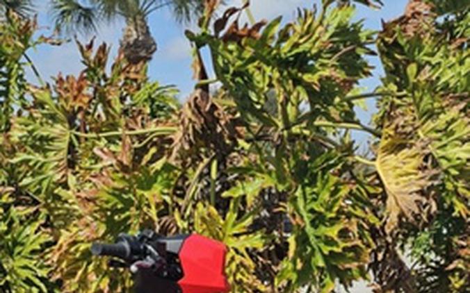 2026 Kawasaki Brute Force 750