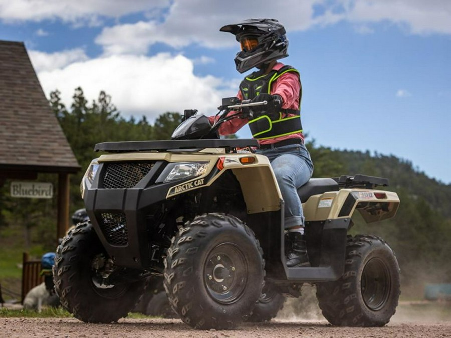 2023 Arctic Cat® Alterra 300