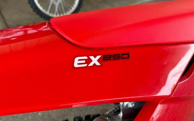 2024 GASGAS EX 250