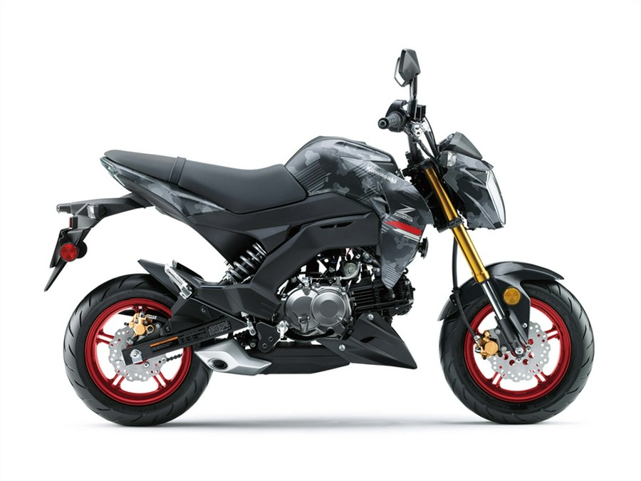 2024 Kawasaki Z125 Pro [Special Color & Premium Paint Finish]