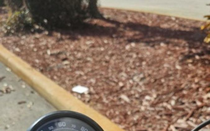 2024 Royal Enfield Hunter 350 Rebel Blue