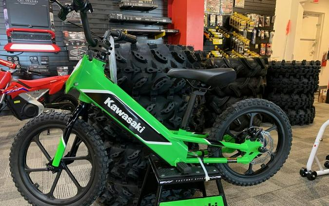 2023 Kawasaki Elektrode First Look [8 Fast Facts + 33 Electrifying Photos]