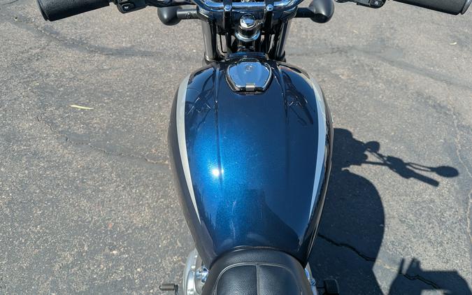 2025 Kawasaki W230 ABS