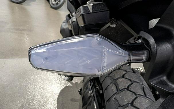 2026 BMW R 1300 GS Option 719