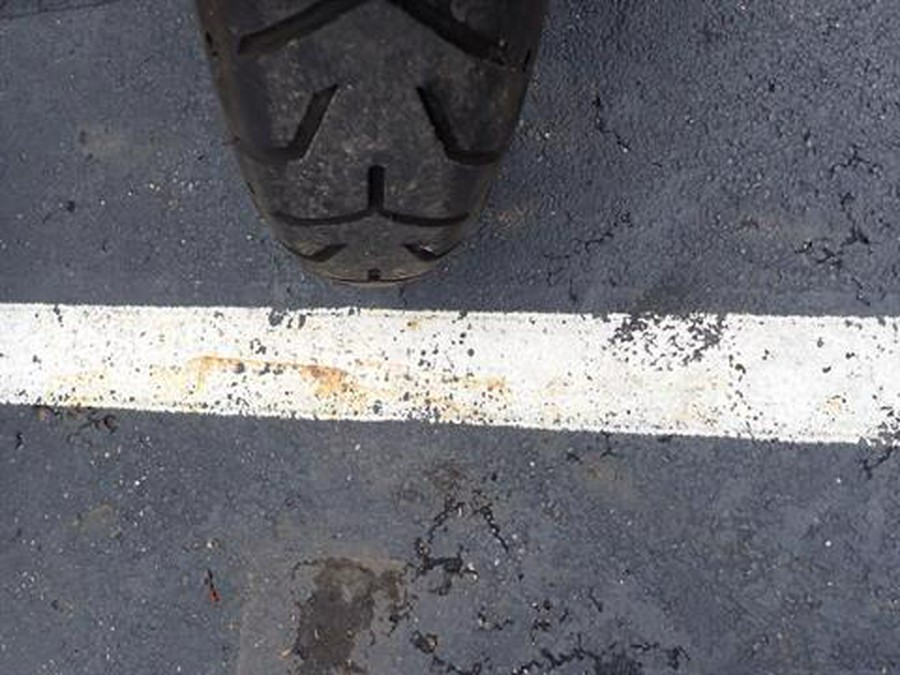 2021 Harley-Davidson Road King®