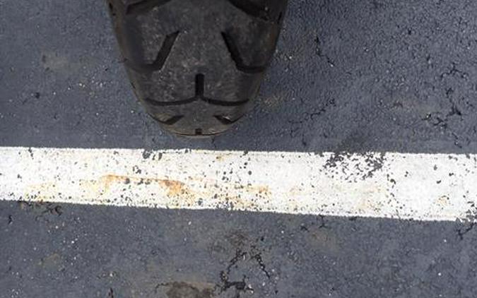 2021 Harley-Davidson Road King®