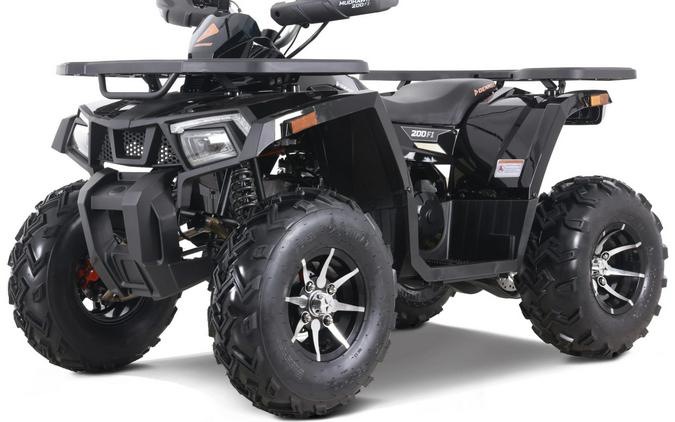2026 Denago Powersports Mudhawk 200FI