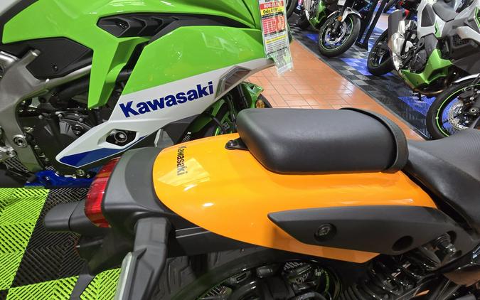 2024 Kawasaki Eliminator SE ABS