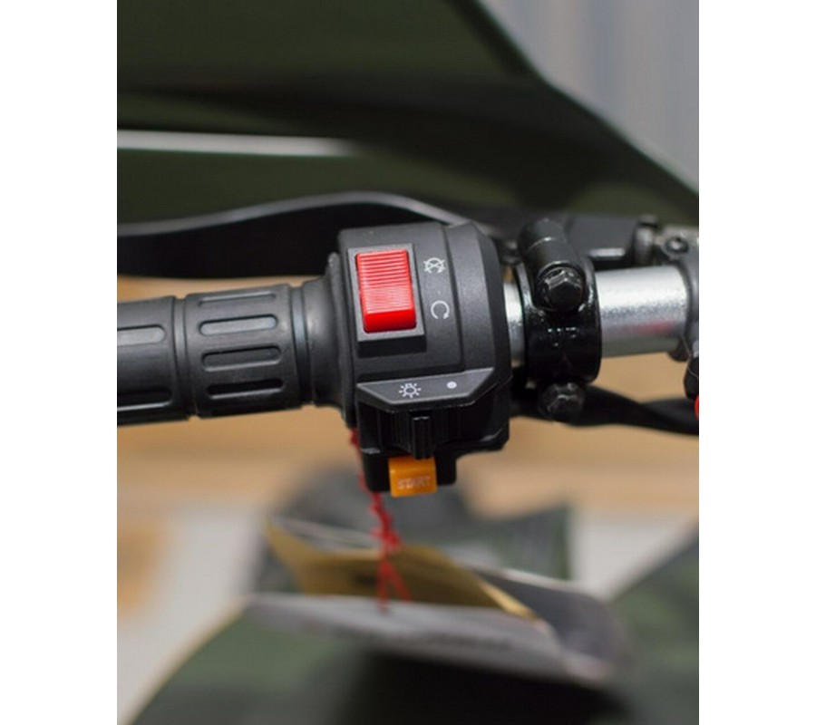 2025 Denago Powersports Daytona 250 FI