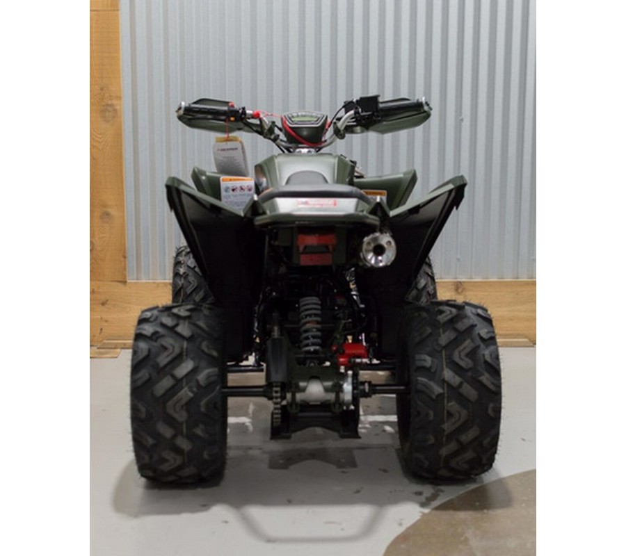 2025 Denago Powersports Daytona 250 FI