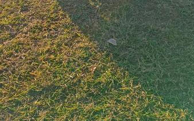 2026 Honda® TRX250X