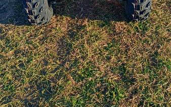 2026 Honda® TRX250X