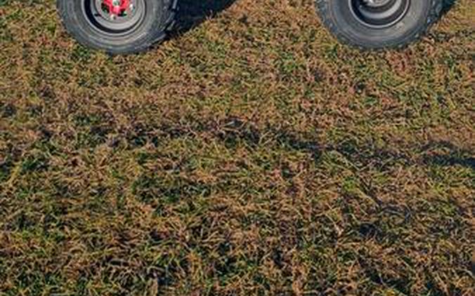 2026 Honda® TRX250X