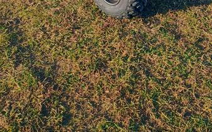 2026 Honda® TRX250X