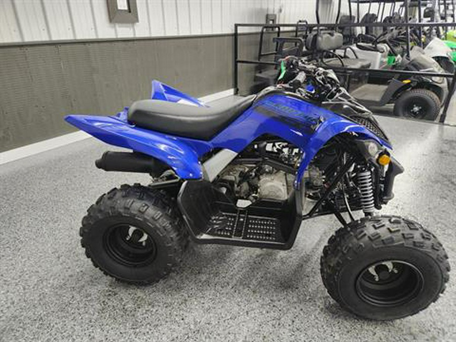 2025 Yamaha Raptor 110