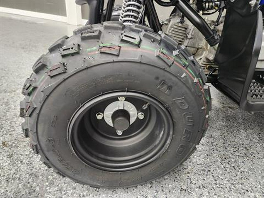 2025 Yamaha Raptor 110