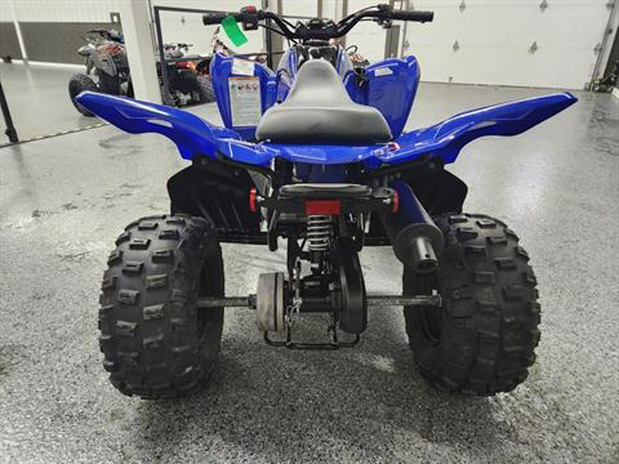 2025 Yamaha Raptor 110