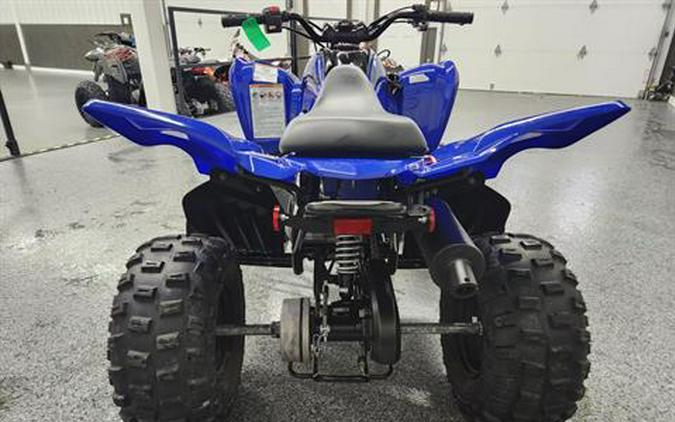 2025 Yamaha Raptor 110