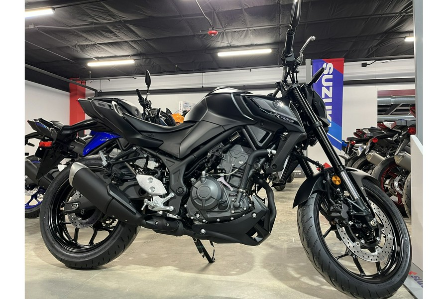 2025 Yamaha MT 03