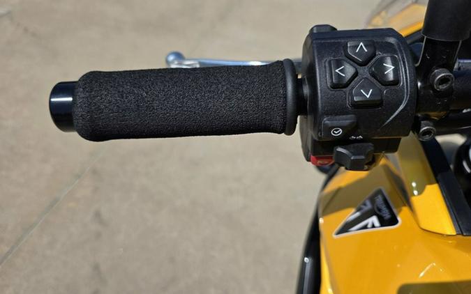 2025 Triumph Tiger Sport 800 Cosmic Yellow