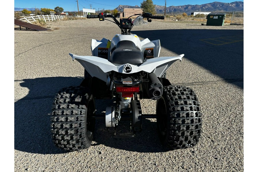 2026 Can-Am RENEGADE 110 EFI
