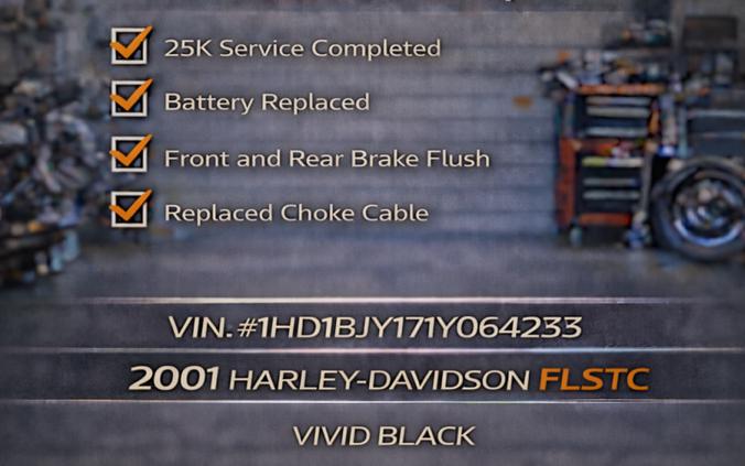 FLSTC 2001 Heritage Softail® Classic