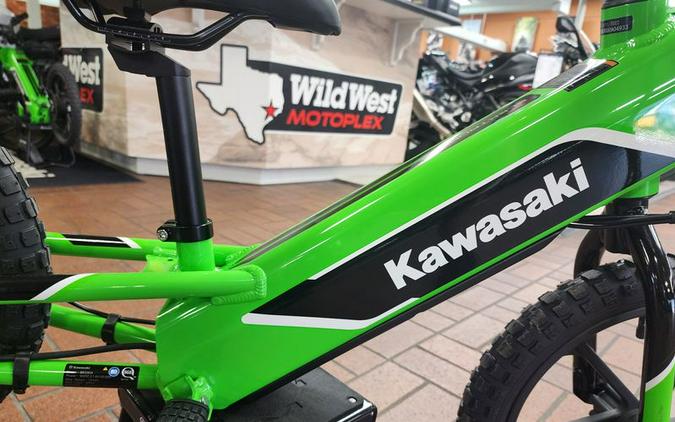 New 2023 Kawasaki Elektrode